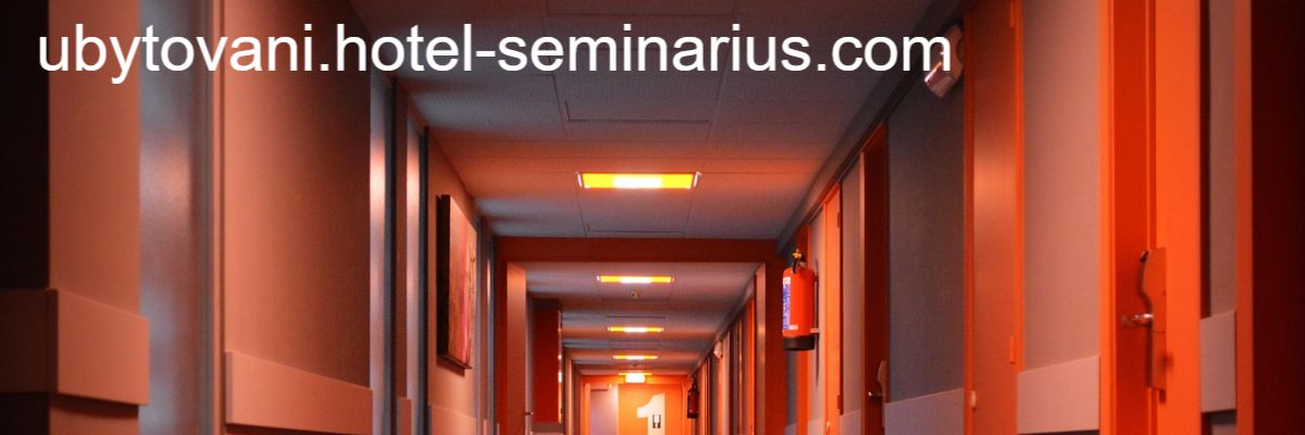 ubytovani.hotel-seminarius.com